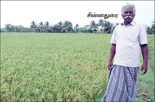 ஏக்கருக்கு 42 மூட்டை நெல்...