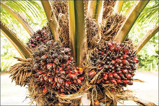உலகம் சுற்றும் உழவு!