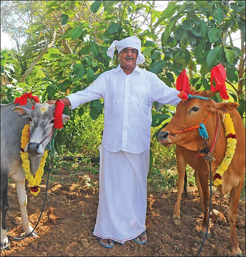 ஏக்கருக்கு ரூ.1 லட்சம் - பலபயிர் சாகுபடியில் ‘பலே’ லாபம்