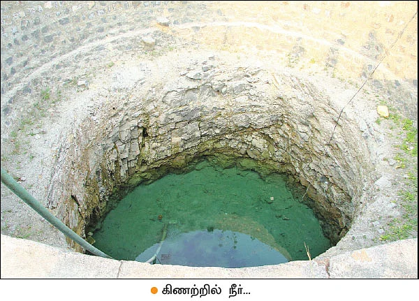 உளிக் கலப்பையில் உன்னத மகசூல்... வழிகாட்டும் வேளாண் நிறுவனம்!