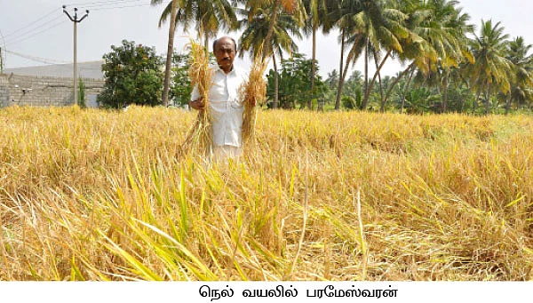 அமோக விளைச்சல்... 5 லட்சம் பரிசு...