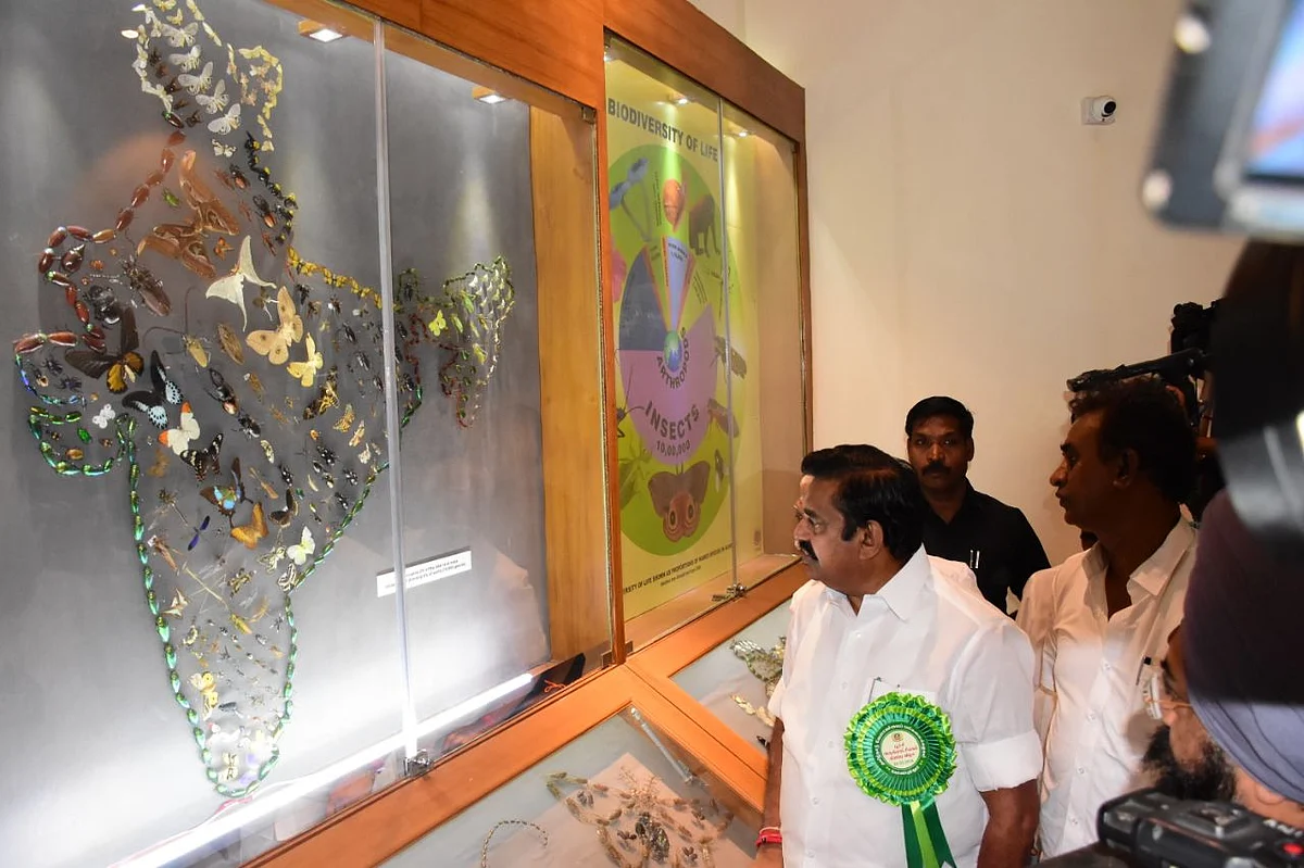 இந்தியாவின் முதல் பூச்சிகள் அருங்காட்சியகம்..! கோயம்புத்தூரில் திறந்துவைத்த முதல்வர்