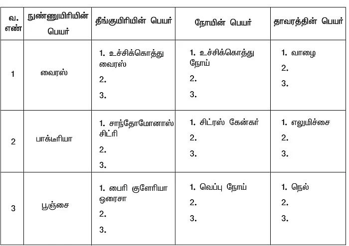 நுண்ணுயிரிகள் - நோய்கள்