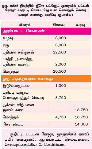 மணக்கும் ‘ஜீரோ பட்ஜெட்’ பட்டன் ரோஜா!