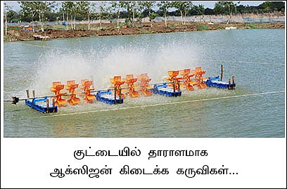 ஒரு ஏக்கர்... 100 நாள்... 2,00,000
