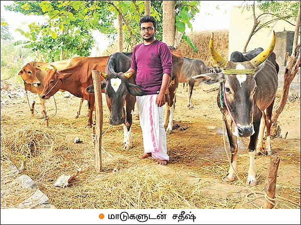இனிக்கும் இயற்கை விவசாயம்... லாபம் தரும் கறவைமாடு வளர்ப்பு!