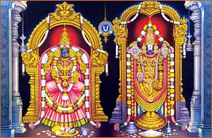 புகைப்படத் தொகுப்பு!