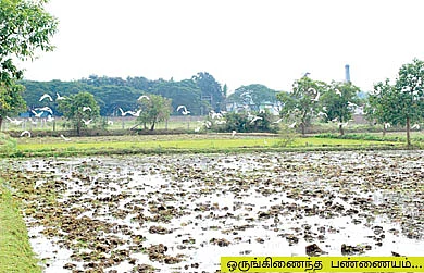 9 ஏக்கர்...8 லட்சம்....