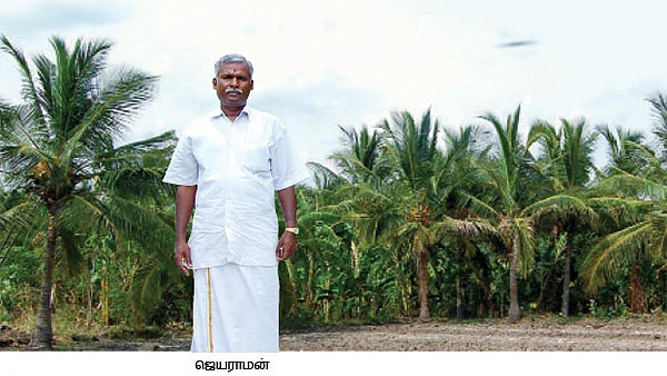 பண்ணை விவசாயம்... பக்கா லாபம்!