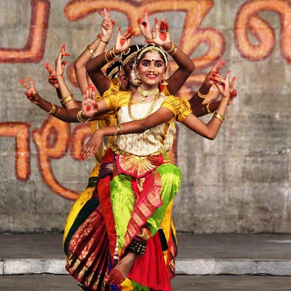 திருவாரூர் தியாகராஜர் திருக்கோயிலில், மஹா சிவராத்திரி நாட்டியாஞ்சலி விழா; அசத்திய கலைஞர்கள்