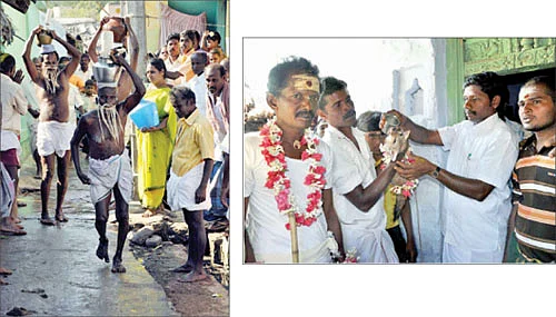 ஊருக்கு வந்த நரியார்!