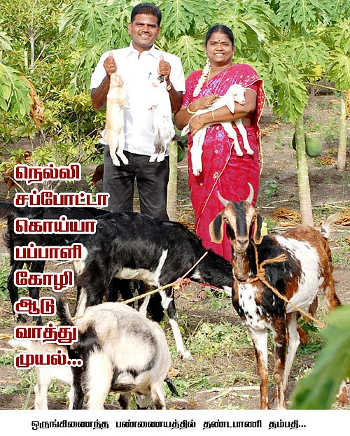 ஒப்பற்ற வருமானம் கொடுக்கும் ஒருங்கிணைந்த பண்ணையம்...