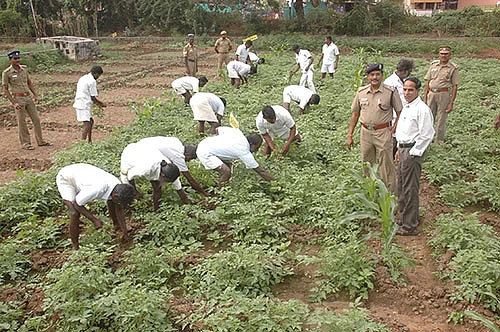 சிறைச்சாலைக்குள் பசுஞ்சோலை!