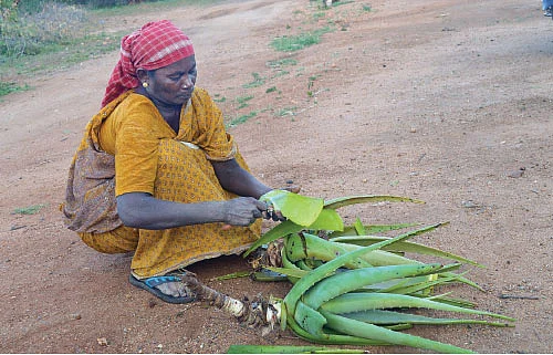 பணம் கொட்டும் தொழில்கள்