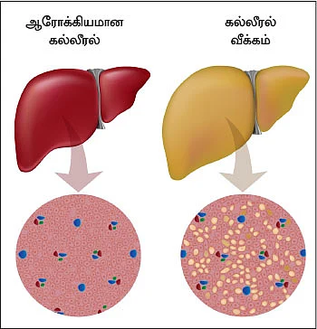 கன்சல்ட்டிங் ரூம்