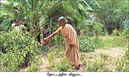 காய்கறிக் கழிவில் கலக்கலான உரம்..!