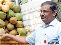 ஆண்டுக்கு 400 காய்கள்...