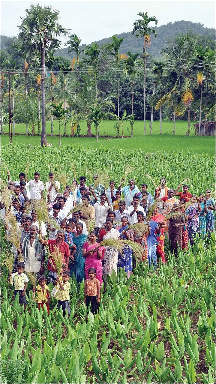விளையும் விலையும்! - சந்தைக்கு வழிகாட்டும் தொடர் - 13