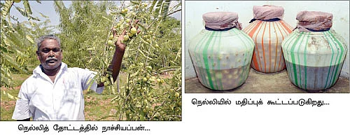 புதர் நிலத்திலும் புதையல் எடுக்கலாம்...