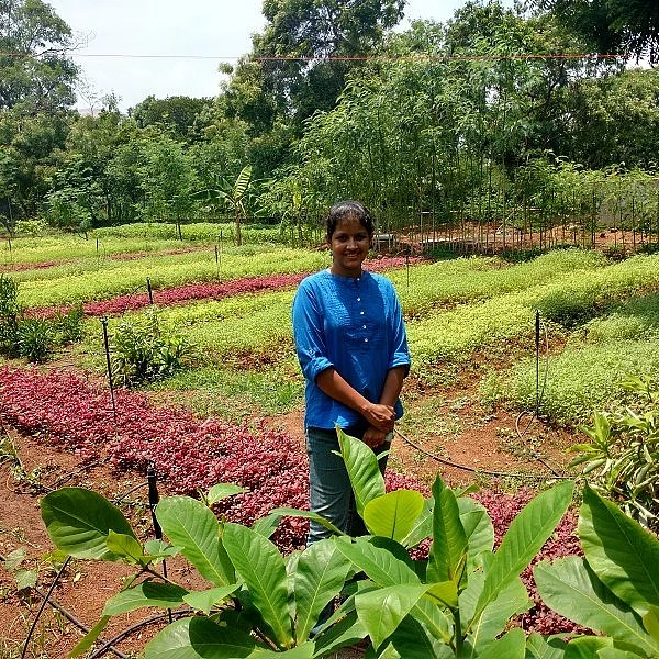நிலம் இல்லாவிட்டாலும் இயற்கை விவசாயம் சாத்தியம்! - சென்னைப் பெண்ணின் புதிய முயற்சி