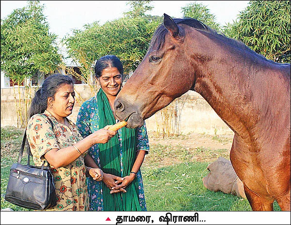 விலங்குகளை நேசிக்க குழந்தைகளைப் பழக்குங்கள்!