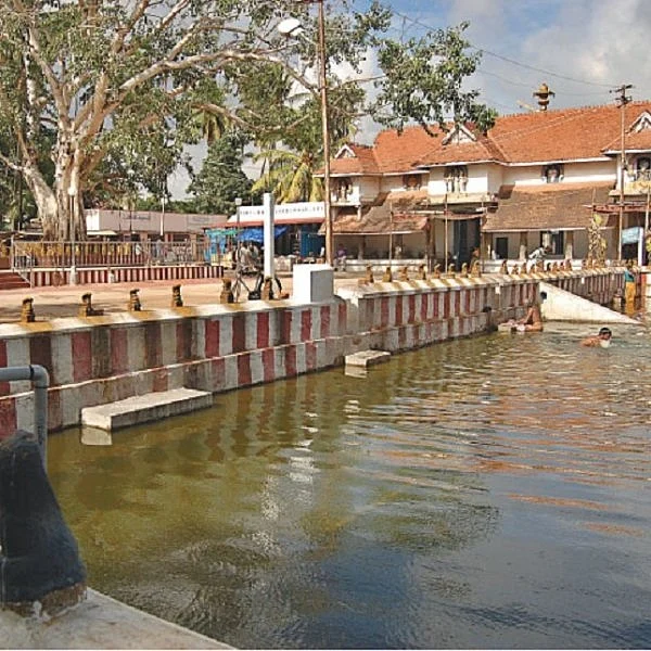ராகு கேது தோஷம், புத்திரபாக்கியத் தடையை நீக்கும் நாக வழிபாடு!