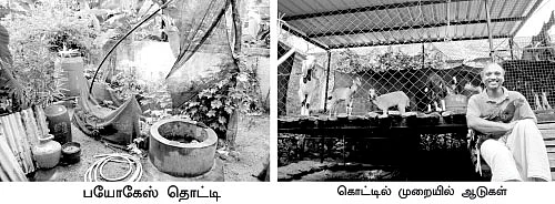 34 சென்ட்...