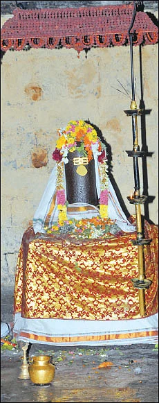 சிவம் தவம் தரிசனம்!