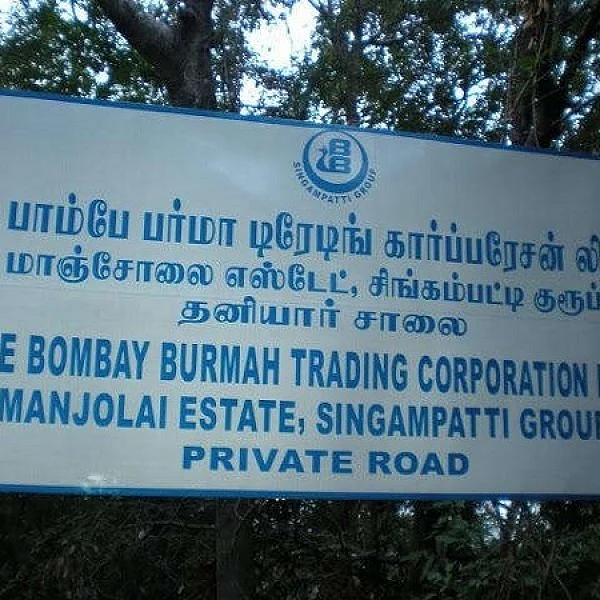 கைமாறக் காத்திருக்கும் மாஞ்சோலை தேயிலைத் தோட்டம்! - உற்சாகத்தில் வனத்துறையினர்