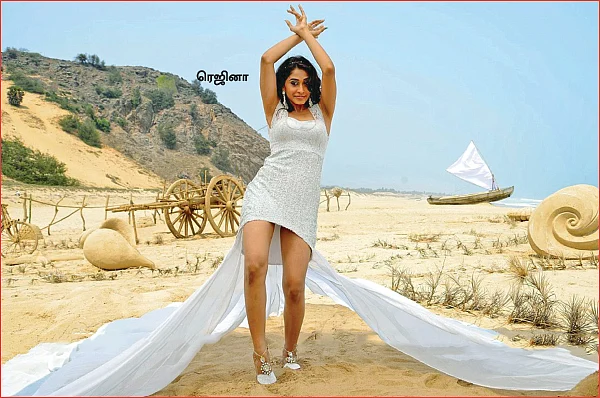 மிஸ்டர் மியாவ்