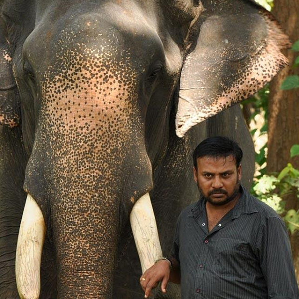 இது 'கும்கி 2' இல்லை, அதைவிட பெரிசு! ரகசியம் சொல்லும் பிரபு சாலமன்