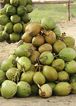 ஃபீல் ஃப்ரெஷ்!