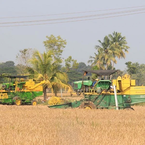 மயிலாடுதுறையில் சம்பா அறுவடைப் பணிகள் மும்முரம்!
