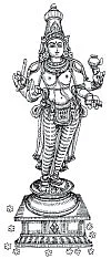 உள்ளங்கையில் சில உண்மைகள்