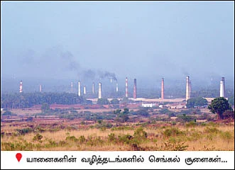 அபாயக் கட்டத்தில் மேற்குத் தொடர்ச்சி மலை!