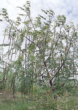 நீங்கள் கேட்டவை