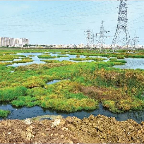 ரூ.100 கோடி சொத்து சேர்த்தாரா சார்பதிவாளர் சிவப்பிரியா?