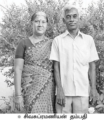 மழைநீர்-சோலார் மின்சாரம்-இயற்கைக் காய்கறிகள்...