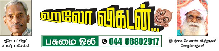 பசுமை ஒலி