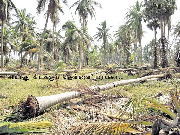 இதற்கு உயிரே போயிருக்கலாம்...
