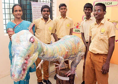 அடடே... அறிவியல் கண்காட்சிகள்!