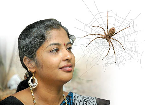 சிலந்திப் பெண் !