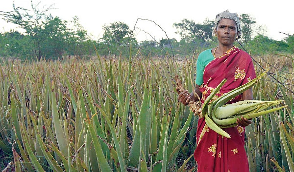 பணம் கொட்டும் தொழில்கள்