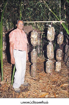 நீங்கள் கேட்டவை