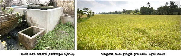குறைந்த செலவு...அதிக மகசூல்..