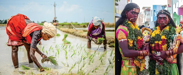 வாழ்தல் இனிது: ஒரு புகைப்படம் உயிரையும் காக்கும்! - அனிதா சத்யம்