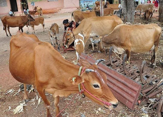 நீங்கள் அருந்தும் பால் துாய்மையானதா....ஓர் அதிர்ச்சி ரிப்போர்ட்! #WhereIsMyGreenWorld