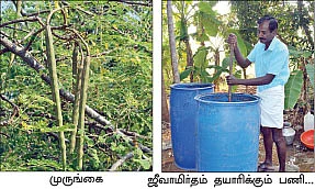 குறைவே இல்லாத வருமானம்... கொடையாக வரும் உற்சாகம்...