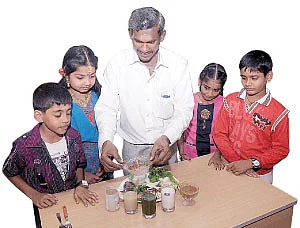 சமைக்காமலே சாப்பிடலாம் !