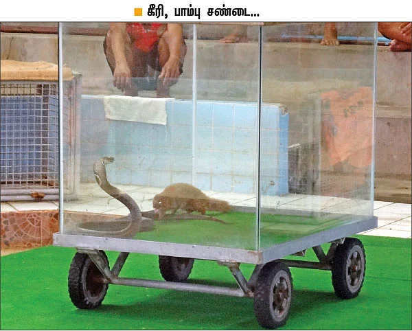 மூன்றாவது பாம்பை எப்படிப் பிடிப்பார்? திகில் கிளைமாக்ஸ்!